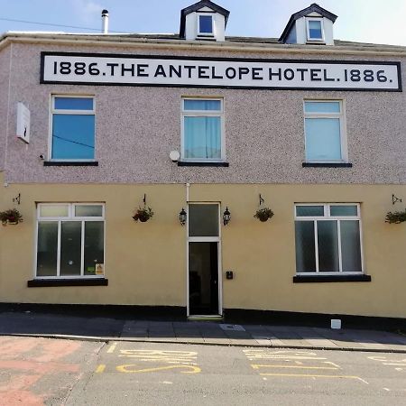 מרת'יר טידפיל The Antelope Hotel מראה חיצוני תמונה